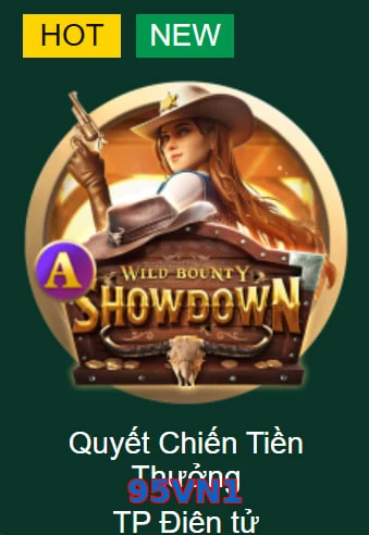 95VN1